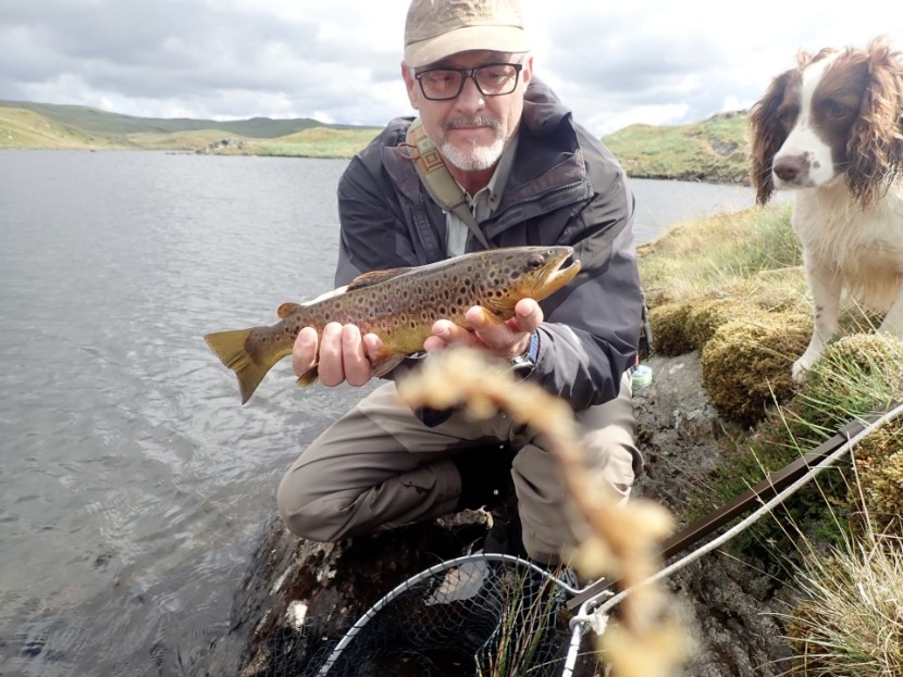 Llyn Hir trout - PB from Leominster